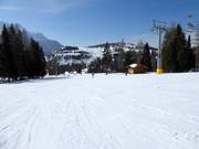 Discesa facile Tschein