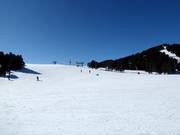 Pista facile e larga Plateau