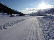 Pista da fondo a Zuoz