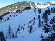 Vista sui pendii di neve fresca nella valle Balbach