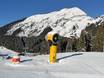 Sicurezza neve Alpi della Lechtal – Sicurezza neve Berwang/Bichlbach/Rinnen