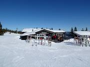 Suggerimento su ristorazione Skihytta Trysil