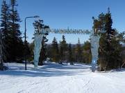 Suggerimento per i più piccoli 