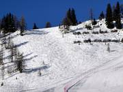 Area freeride Kogelalm