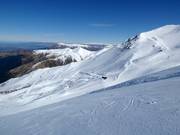 Pista difficile Platter Splatter