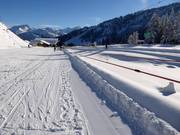 Kindergartenlift Marend - Manovia/Babylift a fune bassa