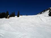 Discesa Neuhögen a Westendorf