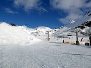 Vecchia Green Extreme