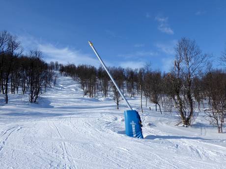Sicurezza neve Härjedalen – Sicurezza neve Tänndalen