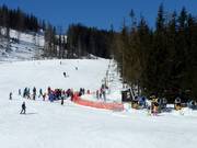 Junior - Skilift a piattello