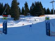 Stazione Adler7 Söllereck: Eagle Eye Run - percorso slalom