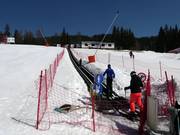 #11 Malina - Tapis roulant