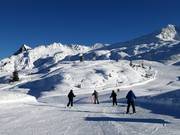 Facile variante Riedkopf