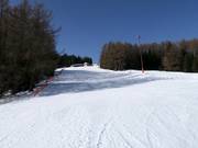 Discesa a valle/discesa per famiglie