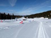 Suggerimento per i più piccoli 