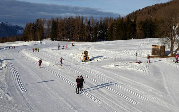 Sci di fondo Trento/Monte Bondone/Valle di Laghi/Valle dell´Adige – Sci di fondo Monte Bondone