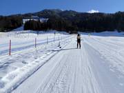 Sammer - Manovia/Babylift a fune bassa