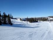 Pista facile Bruløypa