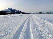 Pista da fondo al Passo Lavazè con vista sul Weißhorn