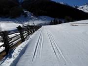 Piste da fondo nel centro sci nordico Schlinig