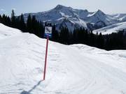 Suggerimento per i più piccoli 