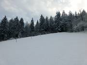 Parte superiore della pista al Wanklift II