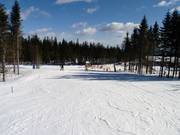 Pista principianti Nybegynnerbakken