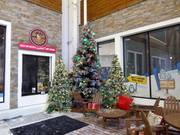 Joe C's nella pista al coperto