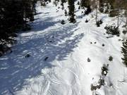 Discesa in neve fresca