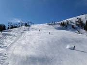 Discesa difficile Almabfahrt