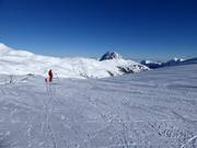 La Wildkogel-Arena con vista sul Rettenstein