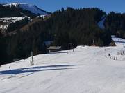 Verbindungslift Markbachjoch (Telecord) - Manovia/Babylift a fune bassa