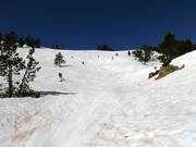 Itinerario sciistico nella Freeride Area