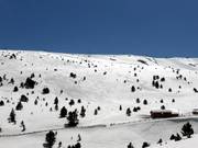 Tracce nella neve fresca a Soldeu