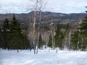 Discesa nel bosco disboscato Le Nid-d'Aigle
