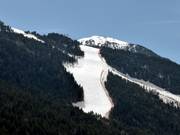 Discese tra i boschi nei settori Soldeu e El Tarter