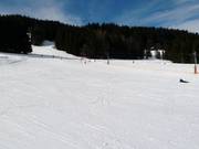 Pista per principianti con skilift a Saint Nicolas de Veroce