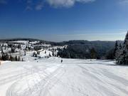Paesaggio da sogno innevato al Feldberg