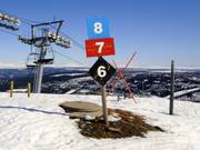 Segnaletica delle piste