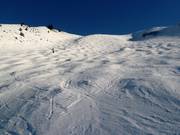 Discesa difficile Onyx