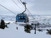 Strawberry Express Gondola - 8pers.| Telecabina (Monofune)