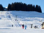 Edtlift - Skilift a piattello