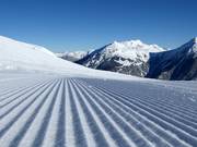 Pista appena preparata