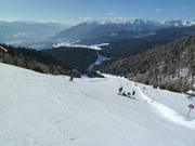 Discesa Nesselwiese (Gitschberg)