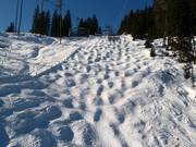 Pista di gobbe alla Harbachbahn