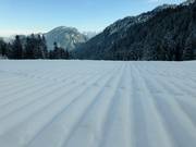 Ottima preparazione delle piste