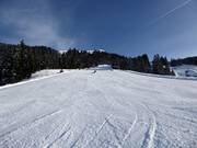 Piste presso la Schernthannbahn