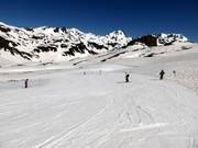 La pista molto facile e lunga Megaverda