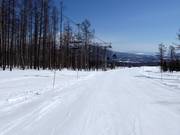 Pista facile Ageimo (Niseko Village)