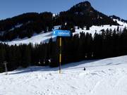 Segnaletica per Schönried